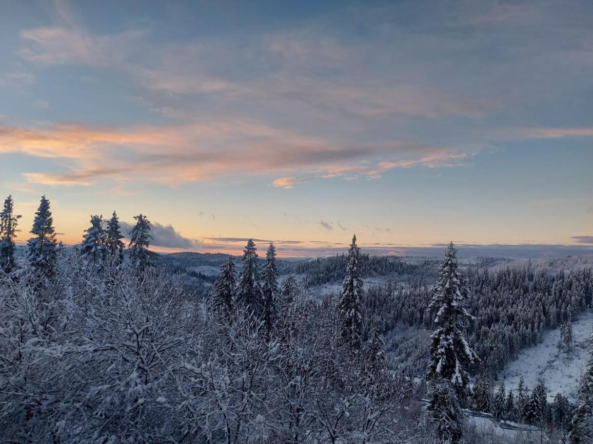 Vila Затишок Tysovets Exteriér fotografie
